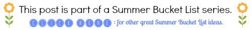 Summer Bucket List series icon