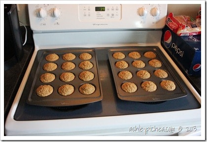 Banana Oatmeal Muffin Recipe