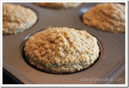 Banana Oatmeal Muffin Recipe