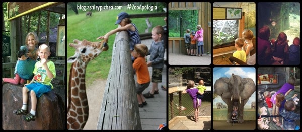 Going to the Zoo with Apologia | #ZooApologia