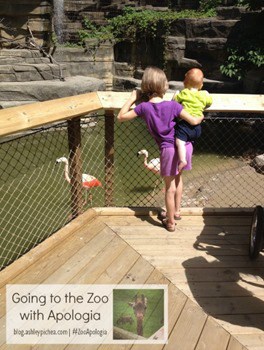 Zoo+Apologia=#ZooApologia | ashleypichea.com