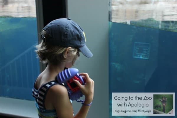 Zoo+Apologia=#ZooApologia | ashleypichea.com