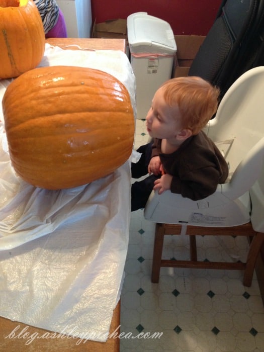 Pumpkin Carving with Kids - Chris checking out the pumpkin