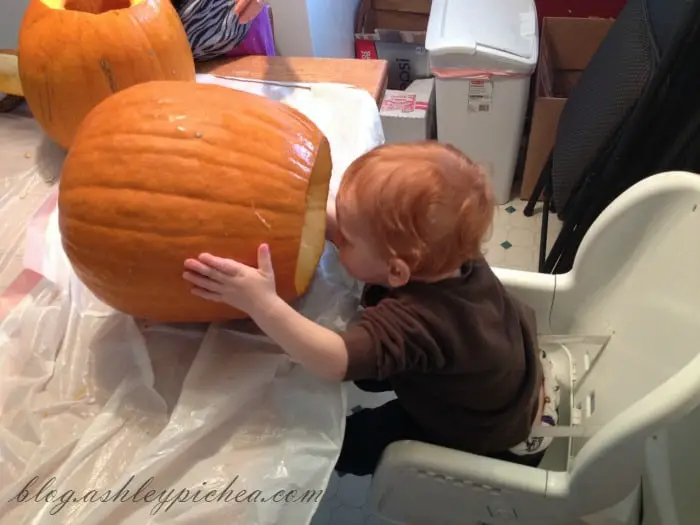 Pumpkin Carving with Kids - Chris looking in the pumpkin