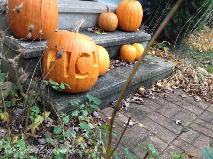 Pumpkin Carving with Kids - pumpkins on display