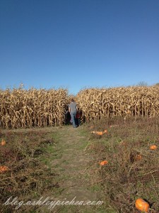 visiting an apple orchard | fall family fun