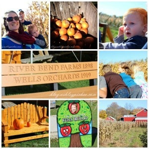 visiting the apple orchard | fall family fun