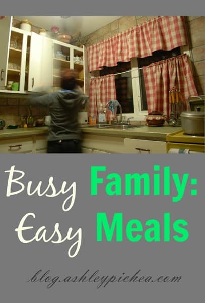 Busy Family: Easy Meals | ten easy meal ideas for busy families
