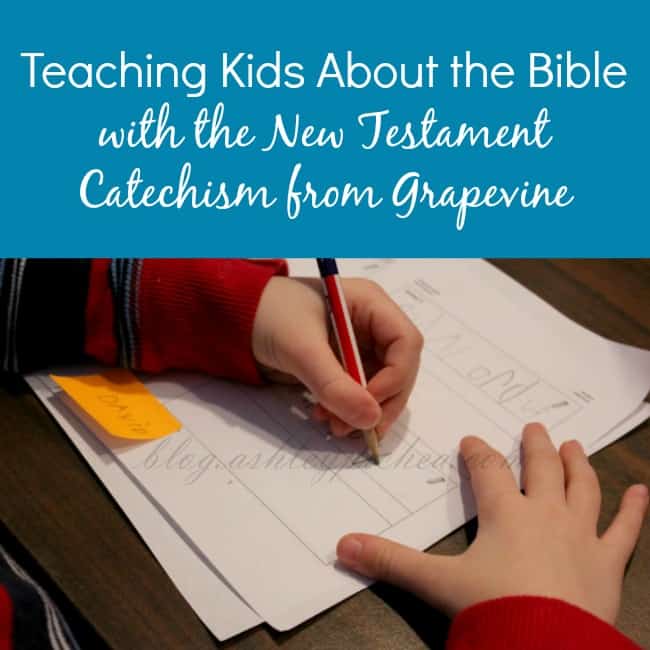 Teaching Kids About the Bible with the New Testament Catechism from Grapevine