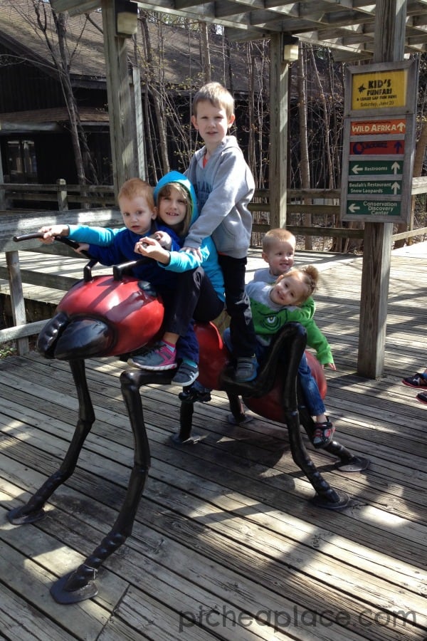 Binder Park Zoo with Cousins