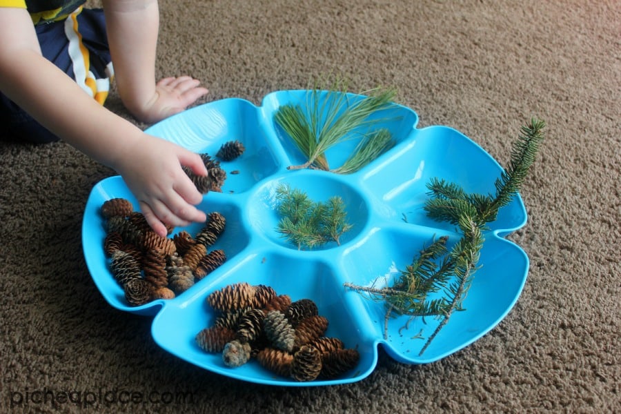 Counting with Pinecones | an nature and number exploration activity for toddlers and preschoolers