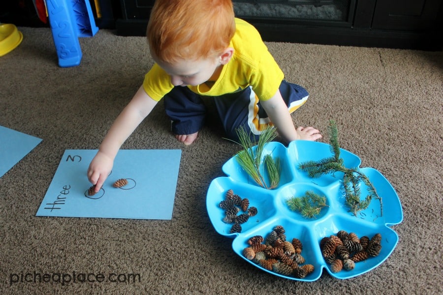 Counting with Pinecones | an nature and number exploration activity for toddlers and preschoolers