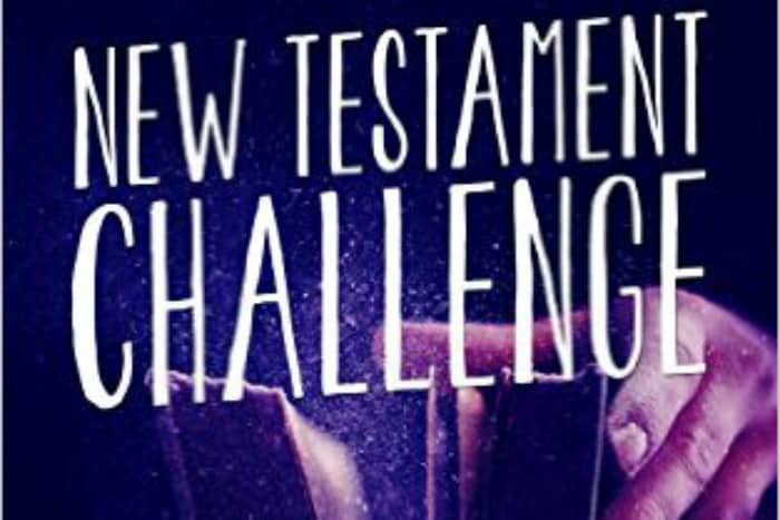 New Testament Challenge – a Bible Study for Busy Moms