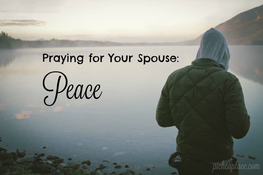 Praying the Word of God for your spouse is one of the most powerful ways to watch God at work in his/her life. When you pray the Scriptures for your spouse, you know that you are praying the will of God for his/her life, and you can have confidence that God wants the same for him/her as you do. If your spouse is struggling with a lack of peace, pray these Scriptures for him/her, knowing that God wants to bless him/her with peace beyond understanding…