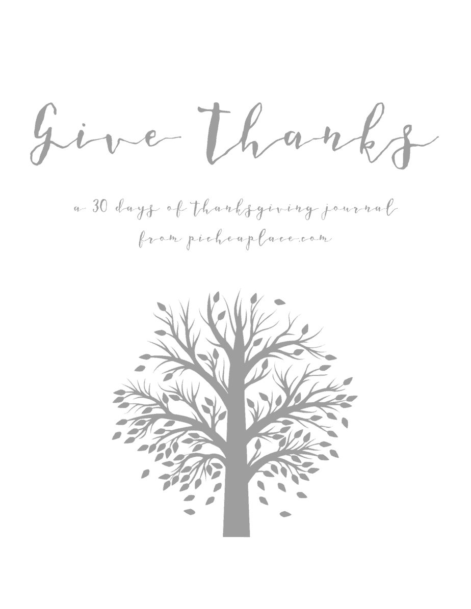 Be intentional about cultivating a heart of gratitude this November with a free printable Thanksgiving journal from PicheaPlace.com.