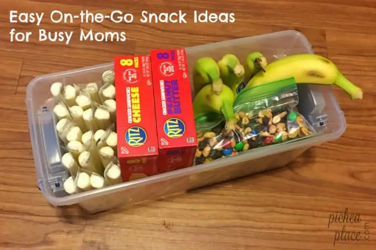 Easy On-the-Go Snack Ideas for Busy Moms