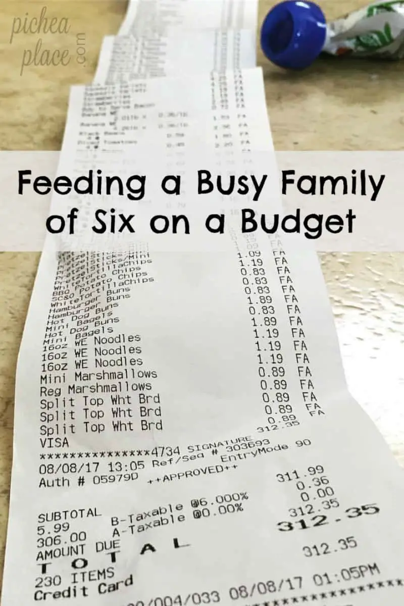 Feeding a Busy Family of Six on a Budget: Aldi Grocery Shopping Trip Recap