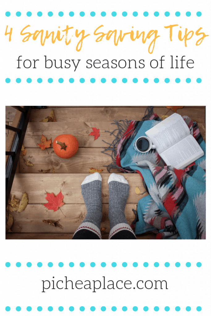 Busy seasons of life can cause busy families to turn to survival mode. Here are four sanity saving tips to help your busy family thrive...