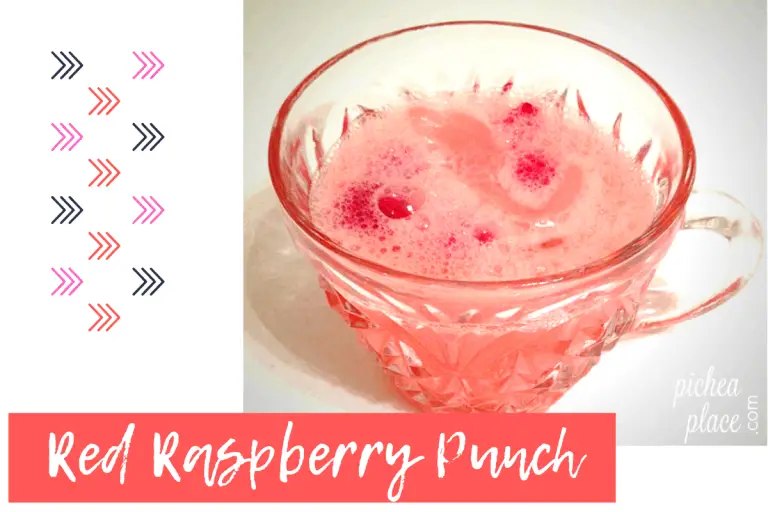 Red Raspberry Sherbet Punch Recipe