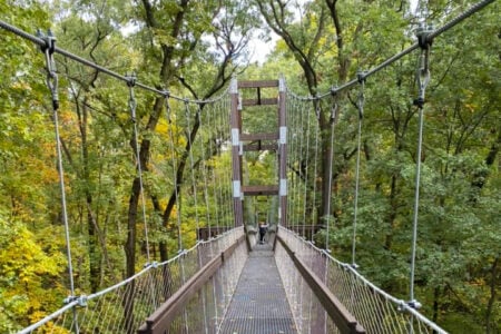 Experience the Allure of Fall Colors at SkyBridge Michigan + Less Crowded Alternatives