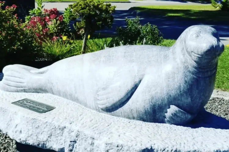 Discover the Heart-Warming Story of Andre The Seal & See His Statue in Rockport Maine