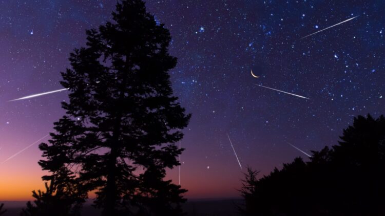 2023 Leonids Meteor Shower: A Stellar Display in Maine’s Night Sky