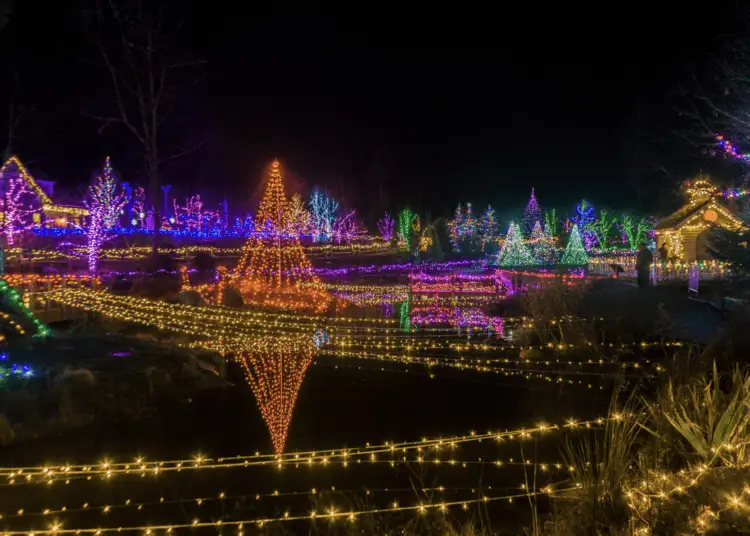 ULTIMATE Guide to Gardens Aglow Maine Holiday Lights Display