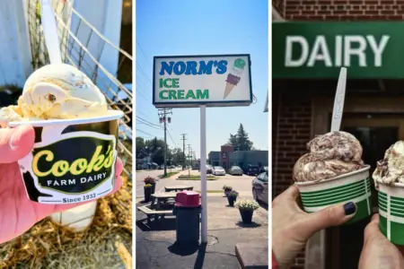 Who Serves the Best Ice Cream in Michigan?